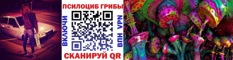 наркота  Курчатов  Псилоцибиновые грибы Magic Shrooms 